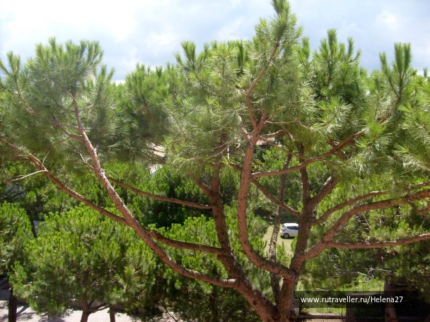 photo 898172