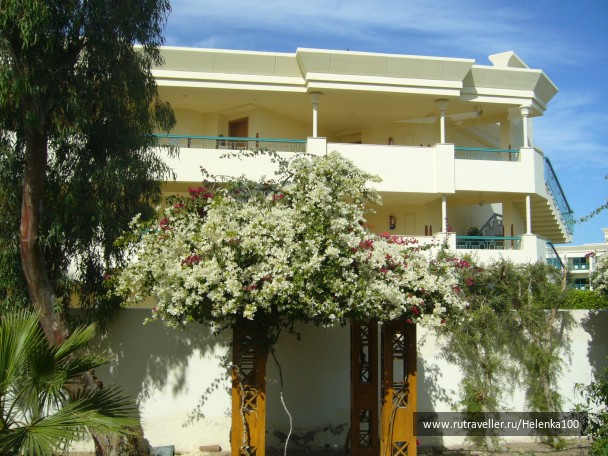 photo 21652