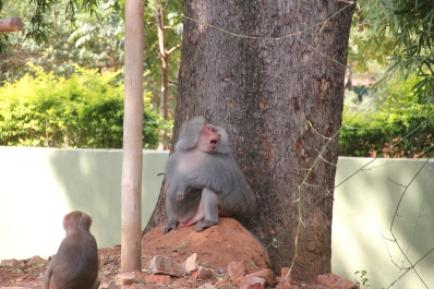 photo 875945