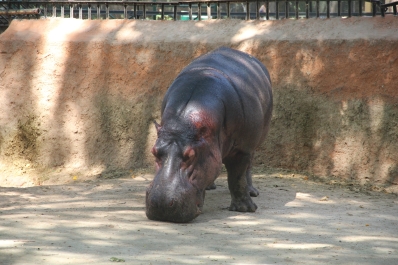 photo 875968
