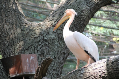 photo 875970