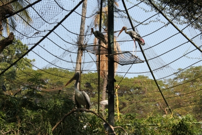 photo 875971