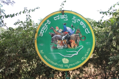 photo 875974