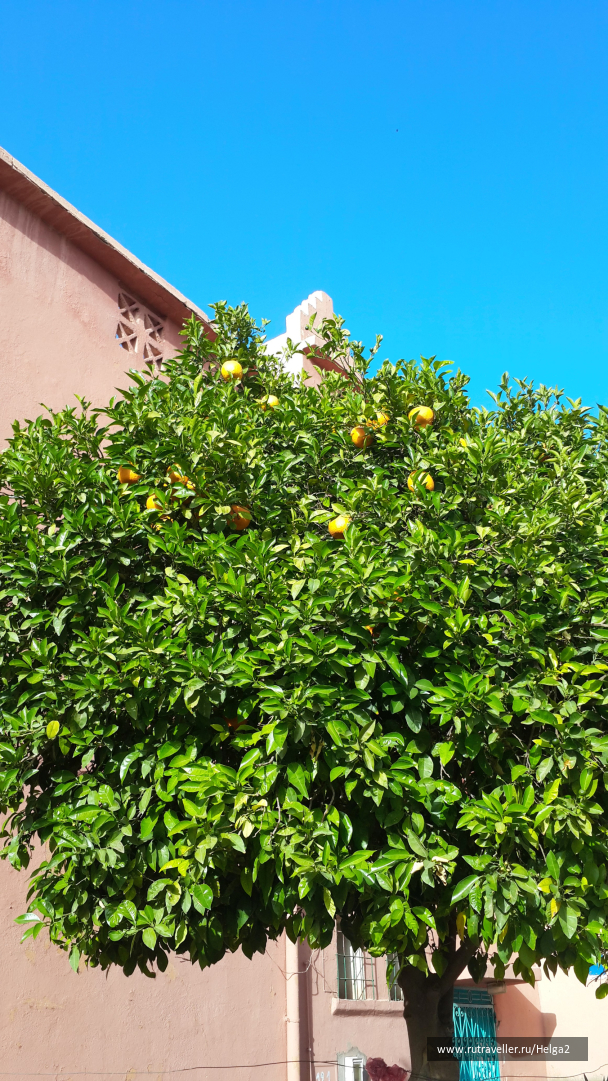 photo 1322820