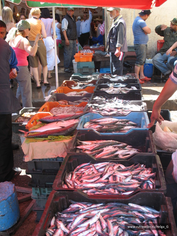 photo 245781