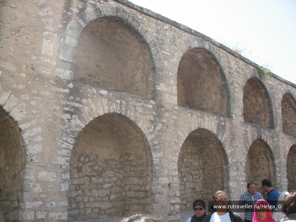 photo 245782