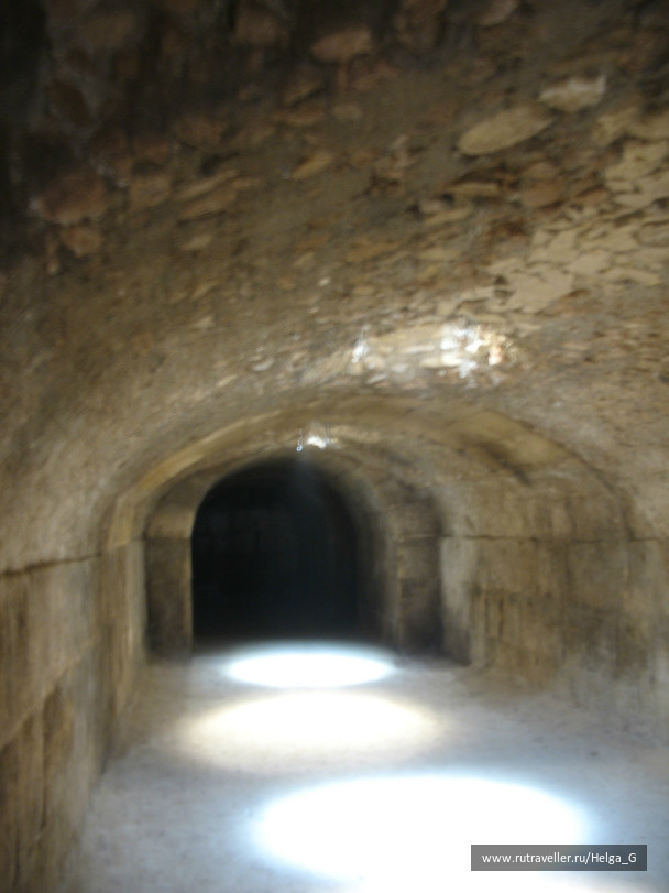 photo 245872