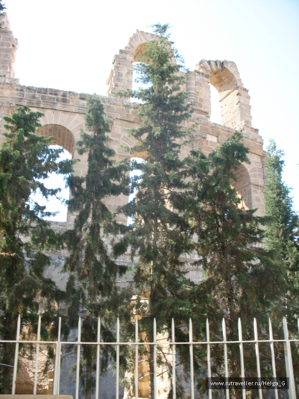 photo 245876