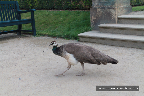 photo 1472139