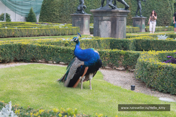 photo 1472140