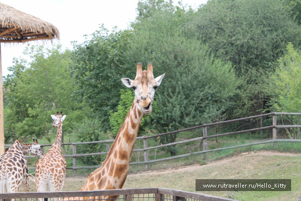 photo 1472145