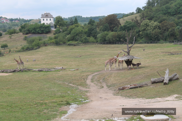 photo 1472146