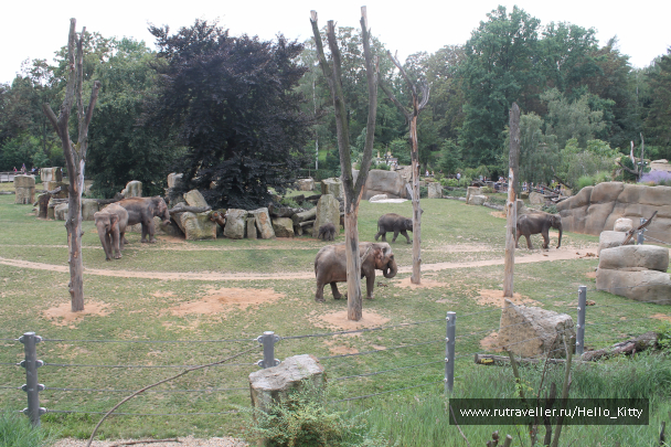 photo 1472147