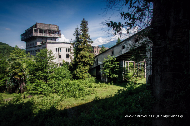 photo 1332303
