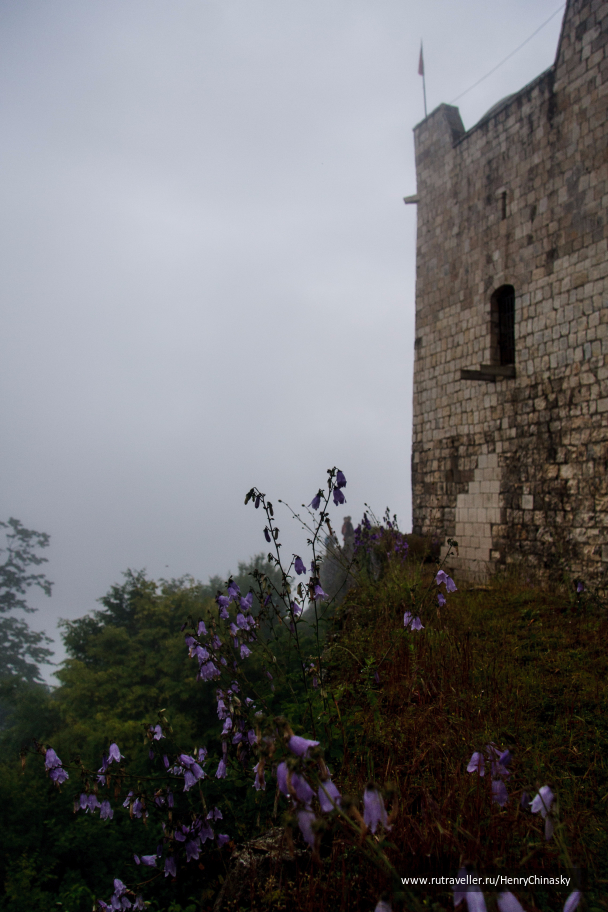 photo 1332315
