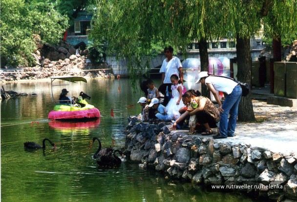 photo 19906