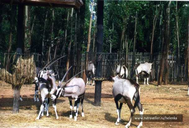 photo 19910