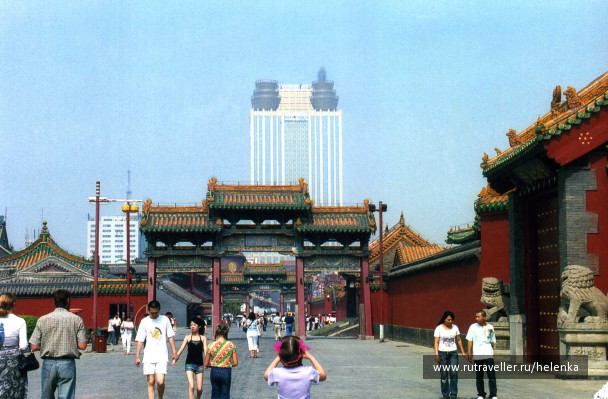 photo 19916