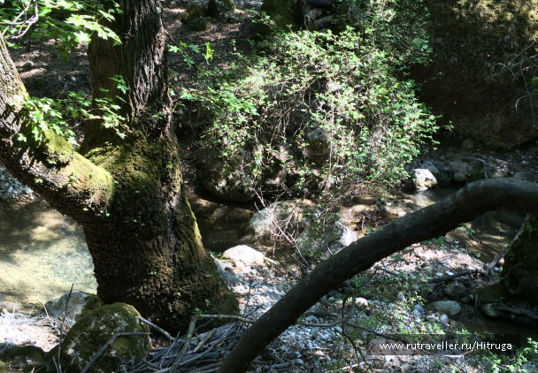 photo 1258613