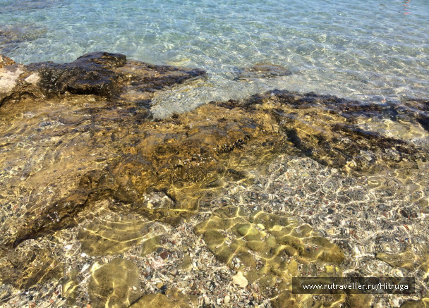 photo 1258614