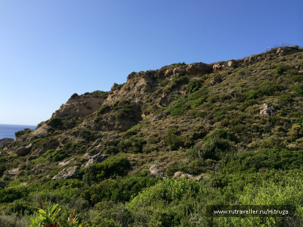 photo 1258615