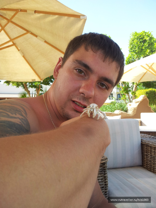 photo 157927