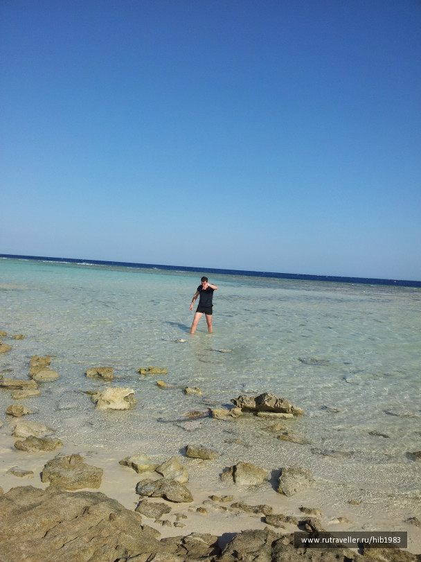 photo 157938