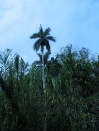 photo 769682