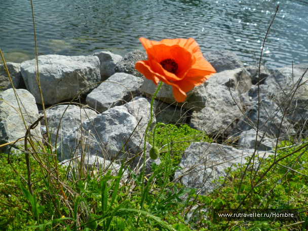 photo 92322