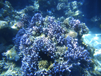 photo 157114
