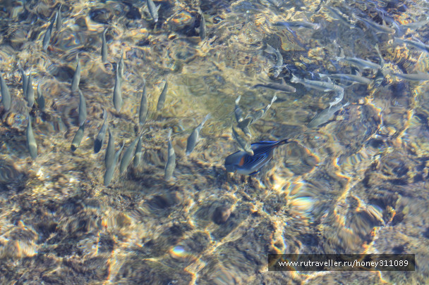 photo 693162