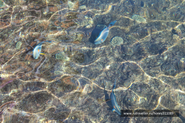 photo 693163