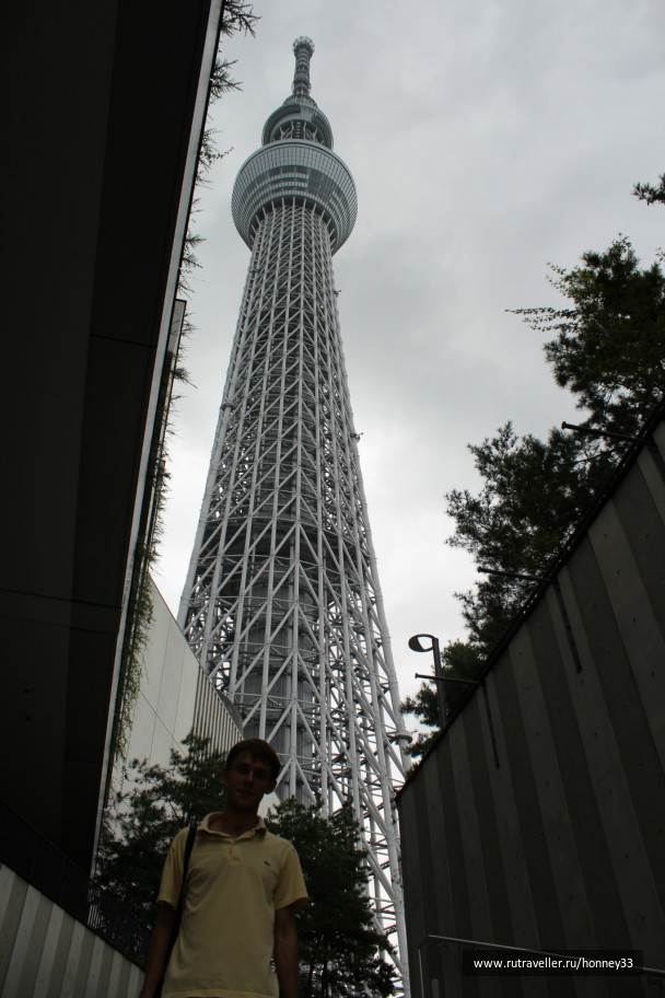 photo 532590