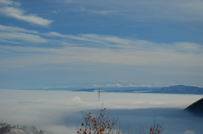 photo 237304