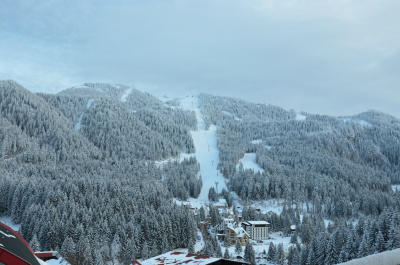 photo 237728