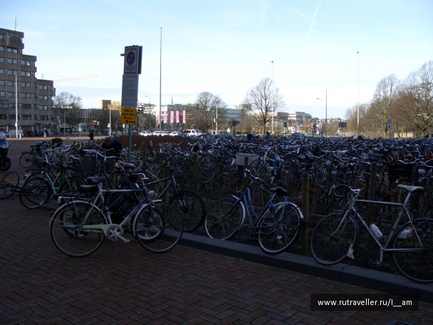 photo 123955