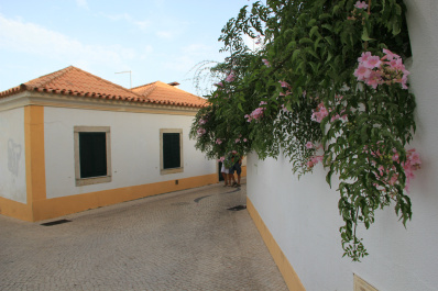 photo 145879