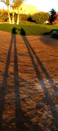 photo 268624
