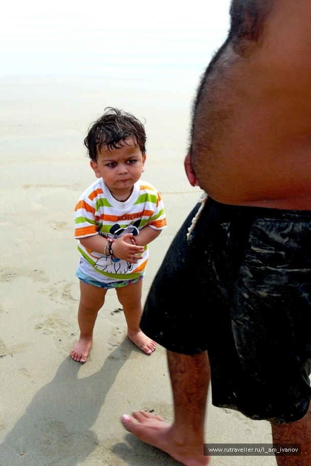 photo 295244