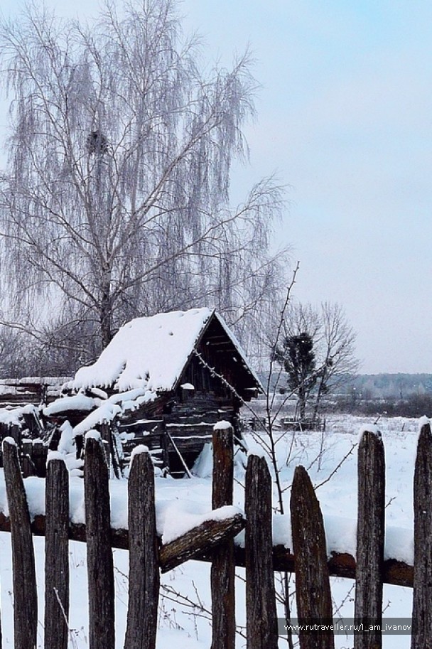 photo 277060