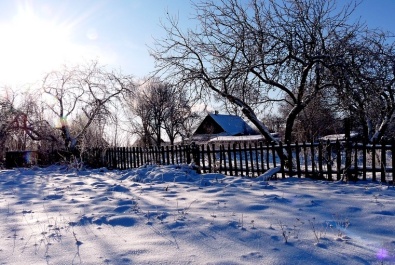 photo 277061