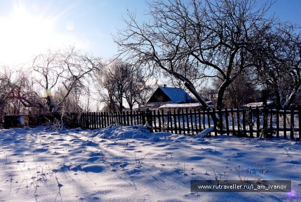 photo 277061
