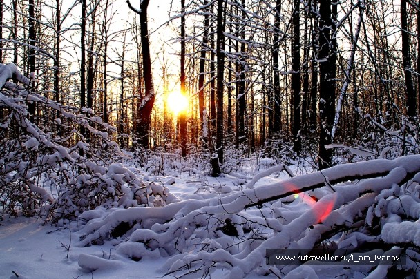 photo 277062