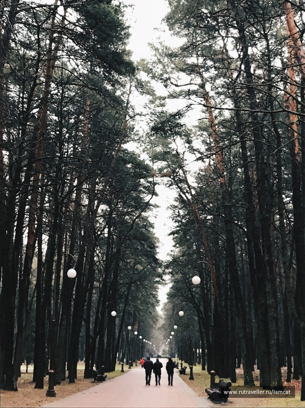 photo 1593350