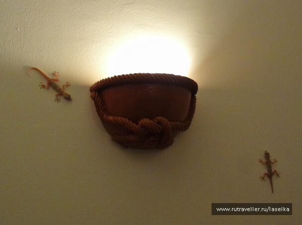 photo 36547