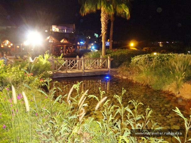 photo 36569