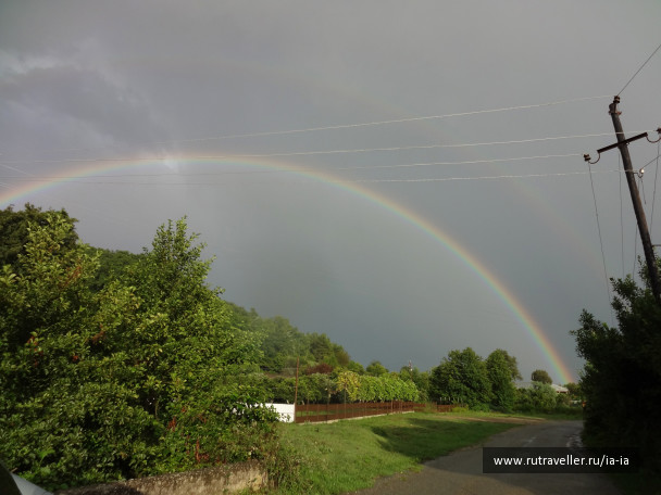 photo 206568
