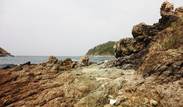 DSC05234
