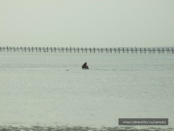 photo 655826