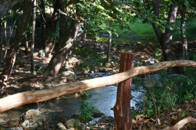photo 924516